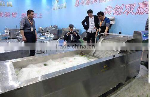 vegetable Bubble Washer machine, CHINA FD, ozone vegetable washer, ozone fruit washer