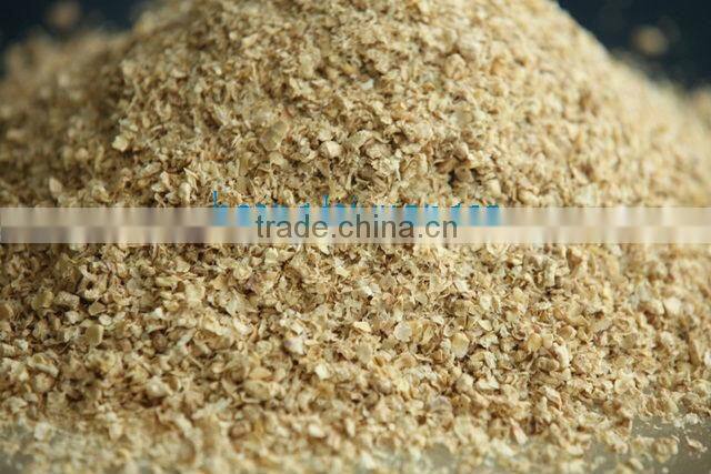 BEST PRICE CORN COB FOR SALE FROM VIETNAM