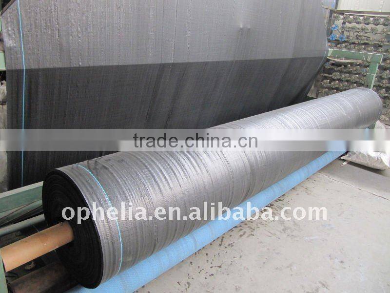 Best price High strength ASTM Standard PP Woven geotextile in 100%polypropylene
