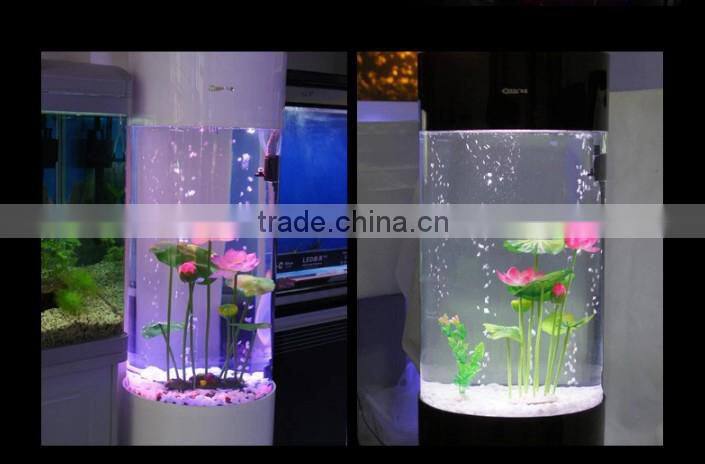 White acrylic fish tank, aquarium fish