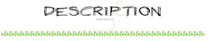 self-adhesive protection film for car