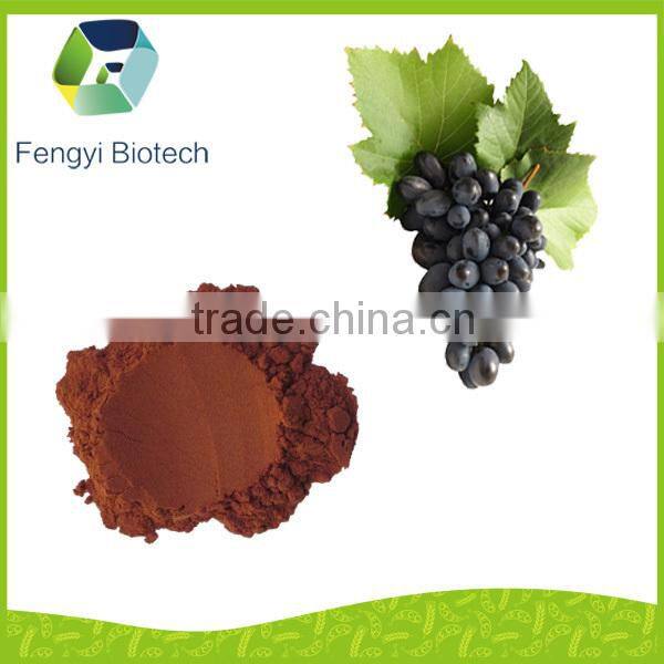 100% natural Grape Seed P.E. / Grape Seed Extract (p.e.) powder