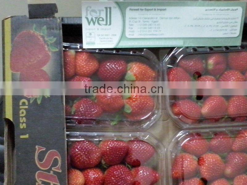 Fresh Strawberry