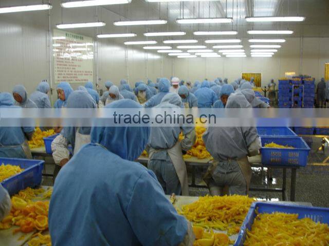 Four season food iqf frozen carrot, dices, slices, cube