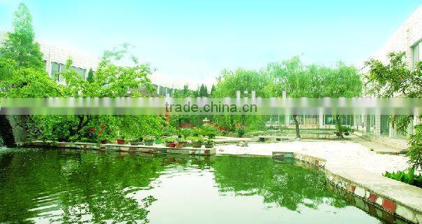 food flavor good quality 6-120 mesh pure super monosodium glutamate MSG cooking msg china manfacturer