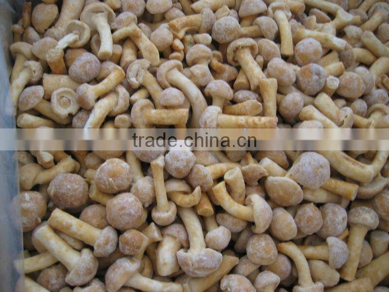 IQF nameko mushroom/frozen nameko mushrooms