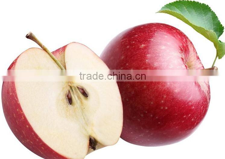 Good Water-soluble Apple cider vinegar powder Total Acid 5%,8%,10%