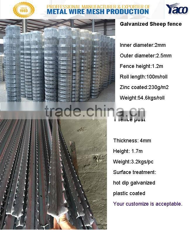 Factory price steel T post for cattle fence
