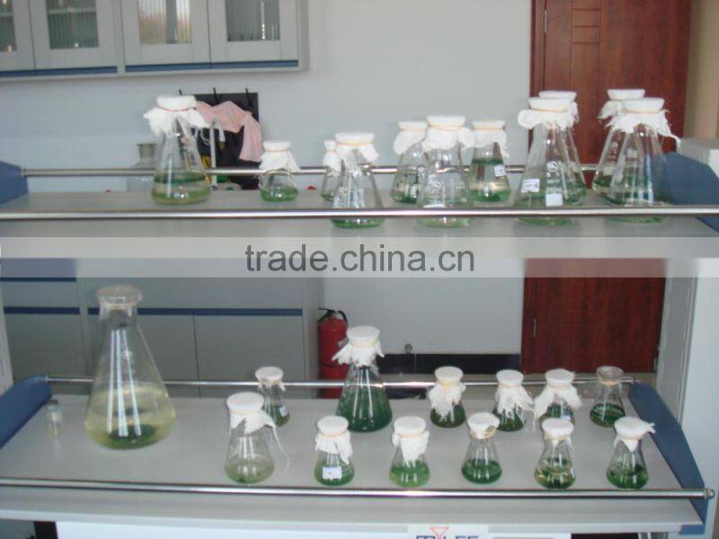Manufacturer Supply 100% Natural Organic Chlorella Powder/Tablet