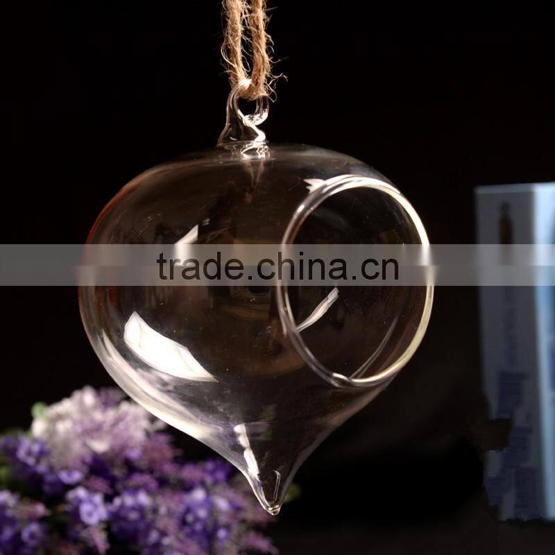 clear glass Vase glass Landscape bottle 2 sizes hanging available