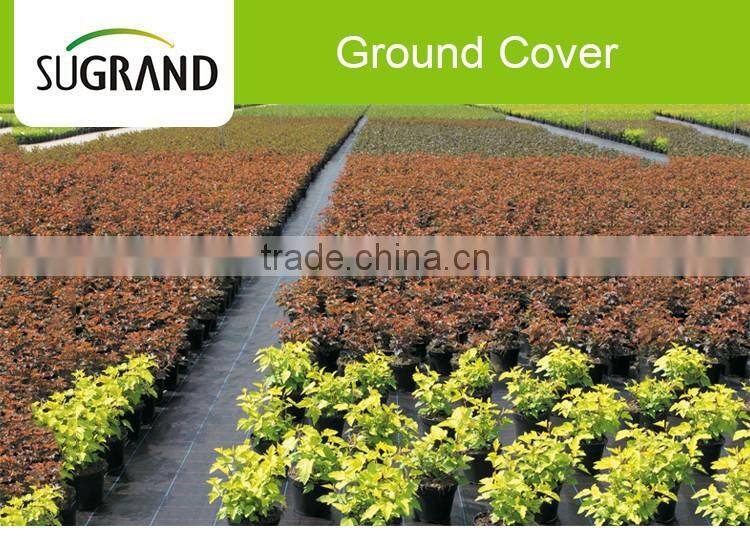 100% PP Material Agricultural Ground Cover From China (Mainland)