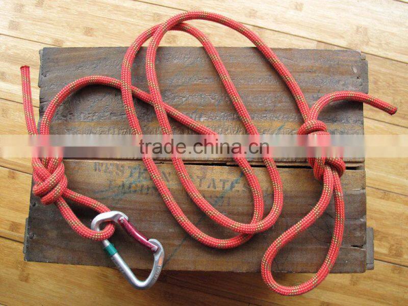 Recycled Climbing Rope & Carabiner Dog Leash - Red