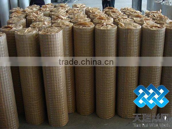 Anping welded wire mesh (Hot sale)