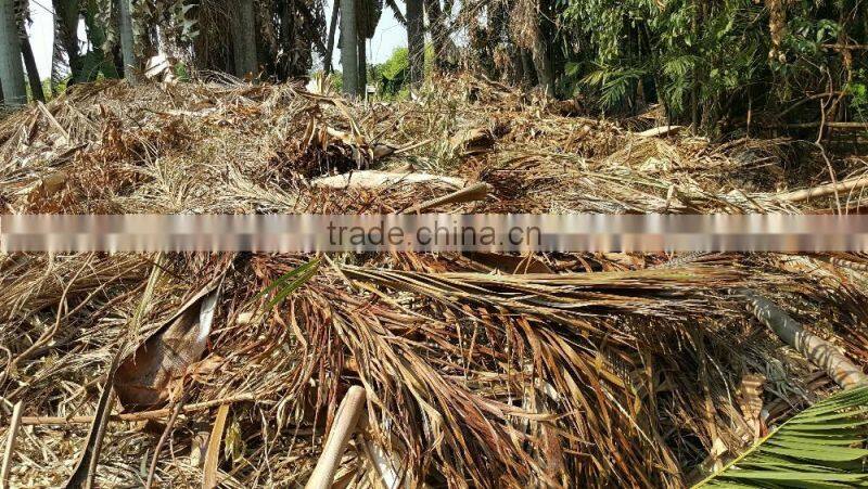 Palm Leaf Chipper Shredder