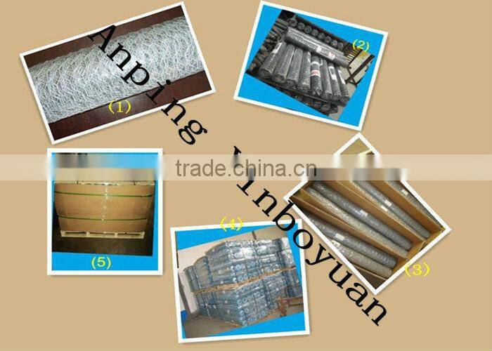 Hexagonal wire mesh rolls/Gabion mesh rolls/Gabion rolls