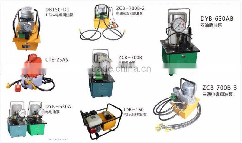 220V Electric Hydraulic Pump 700bar,1000Psi for Power Supply