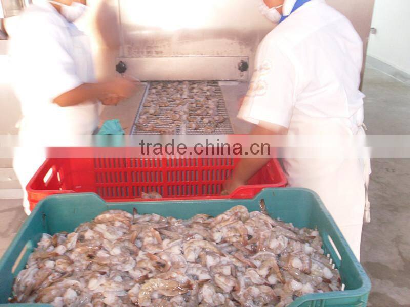 Vgetable Spiral Freezer