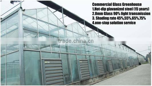 Large Size and Multi Span Agricultural Glass Greenhouse