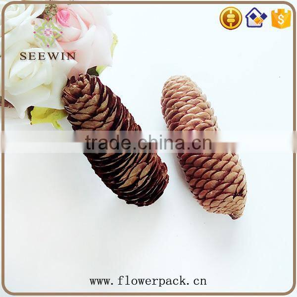 Pine nuts series of natural flowered bark engraving