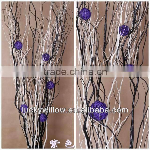 Prafessional factory supply Chinese dragon willow ,longliu,dragon sang for home & office decoration