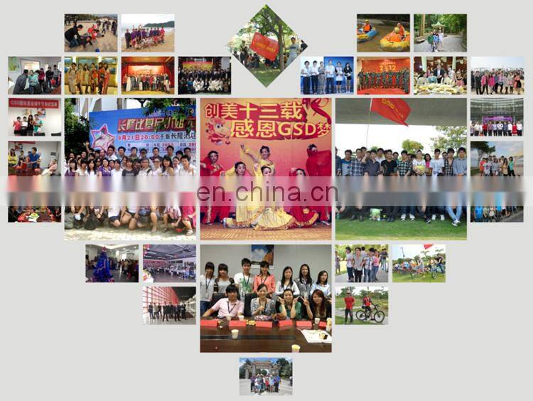 GSD 810nm diode laser permanent hair removal