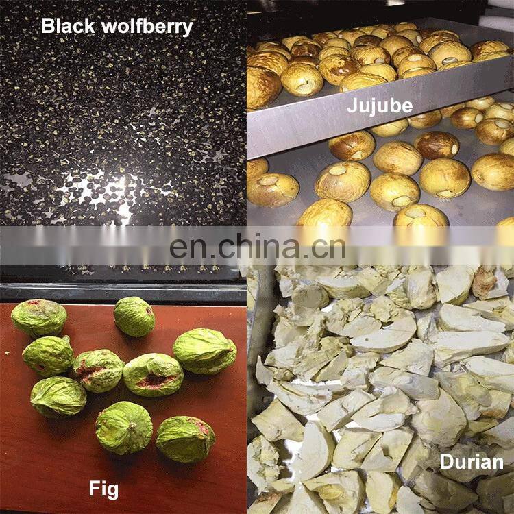 OrangeMech commercial vacuum fruit/strawberry/mango freeze dryer lyophilization machine/freeze drying equipment