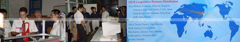 liquid dishwashing detergent