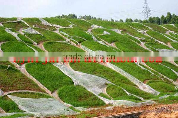 planting grass spraying equipment