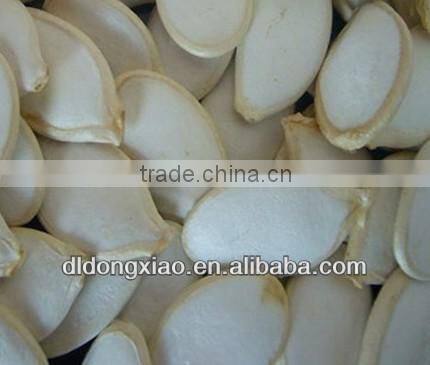 china shine skin pumpkin seeds