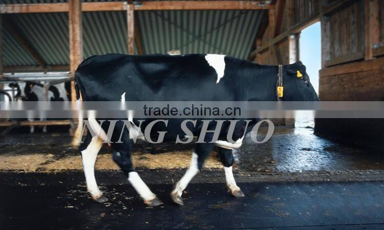 Trade Assurance cow satble rubber flooring, cow shed rubber mats