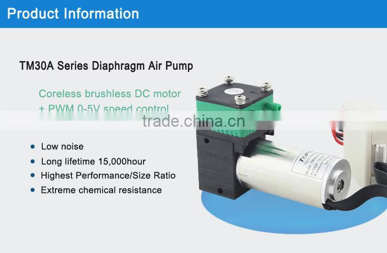 DC Brushless Diaphragm 6v 12v 24v pump for corridor assembly room Aroma Diffusion System