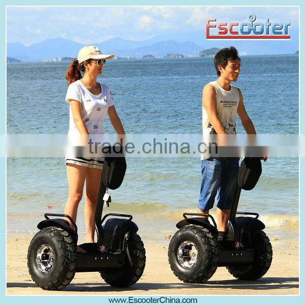 Escooter Fashion and elegant appearance 2 wheel stand up electric scooter germany street legal