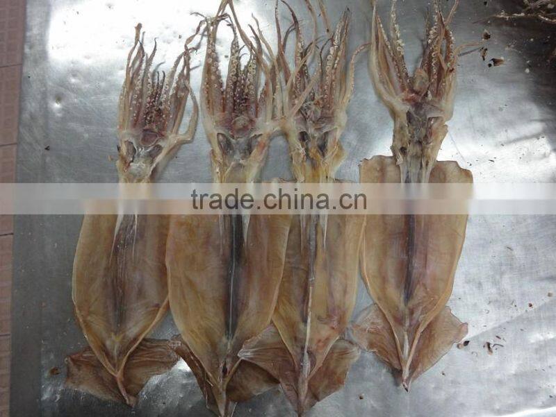 Dried squid