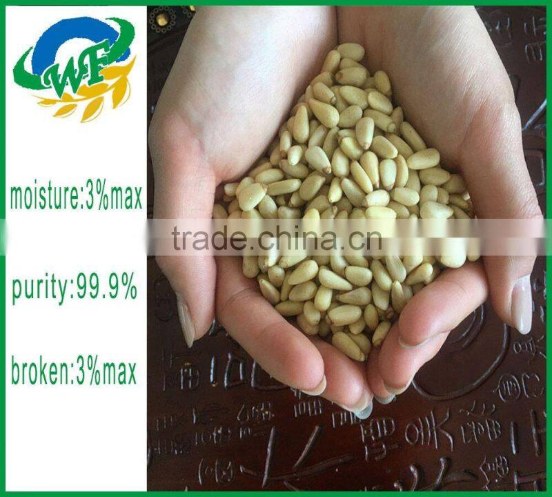 New crop Chinese Pinenut Kernels