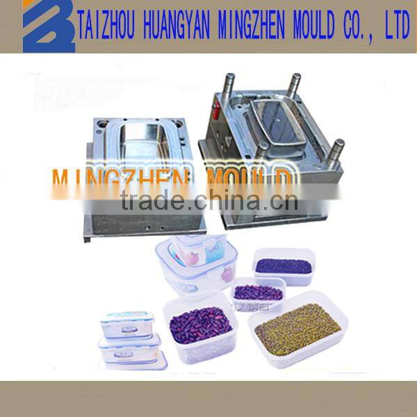china huangyan plastic waterproof storage box mould manufacture