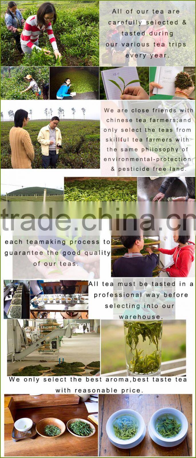 Organic Loose Leaf Tea Fat Burning Green Longjing Tea