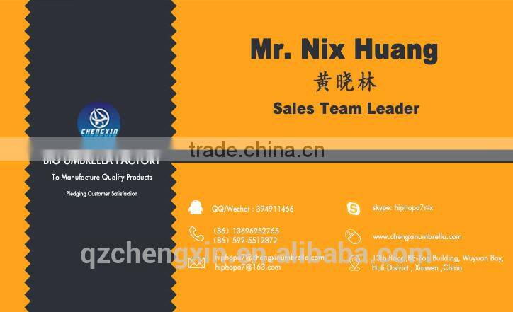 promotion cheap two foldable umbrella