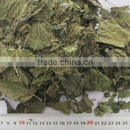 Mulberry leaf natural herbal tea