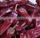 Chinese Dried Chili/chili peppers,American Red Chili