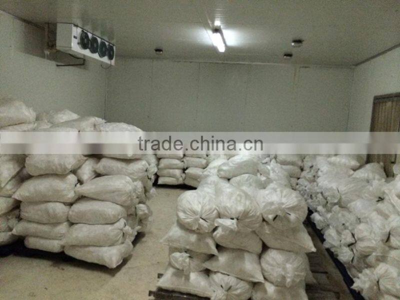 BEST Coco Fiber (Serabut Kelapa)- SALE PRICE!!