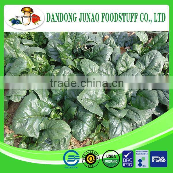 fresh frozen IQF Grade A Bulk Packaging spinach