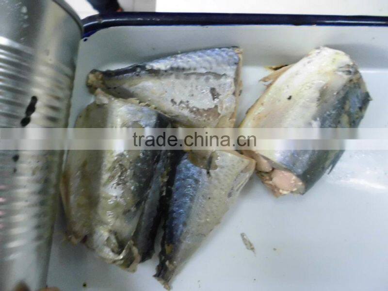 Canned mackerel Fish