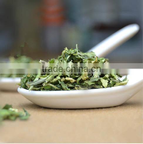 2015 New products coriander powder new inventions in china