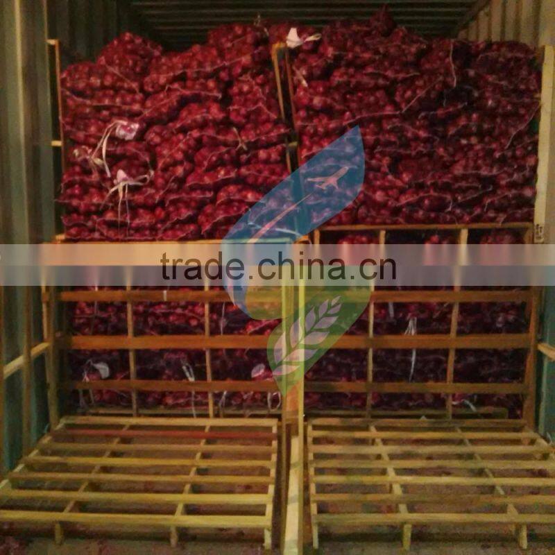 Exporters, Producer, Suppliers of Fresh Onions/Red Onions