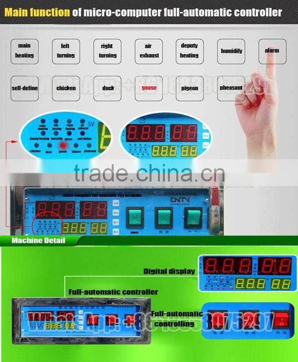 solar eggs incubator for hatching eggs in south africa