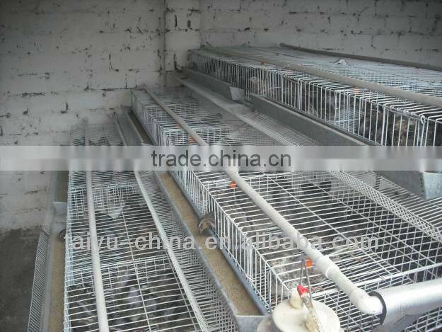 taiyu quail cage small