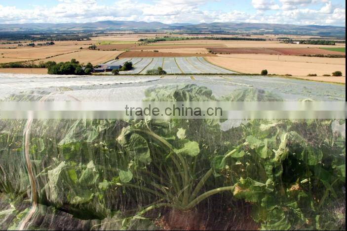 high quality hdpe 5m width insect net for greenhouse