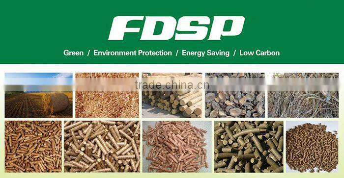 Wood Pellet Press Machine Manufacturer in Jiangsu Nanjing FDSP