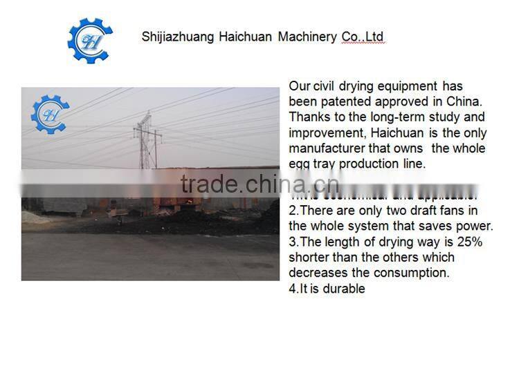haichuan making machine egg tray cartons egg tray machine production line small machine making egg tray