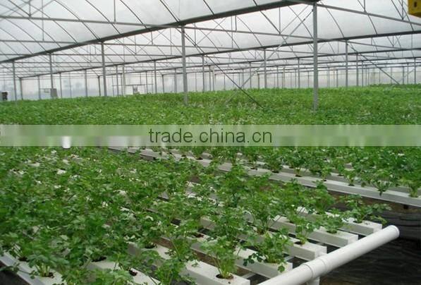Anti-UV Commercial 75x50mm For Greenhouse NFT Hydroponics